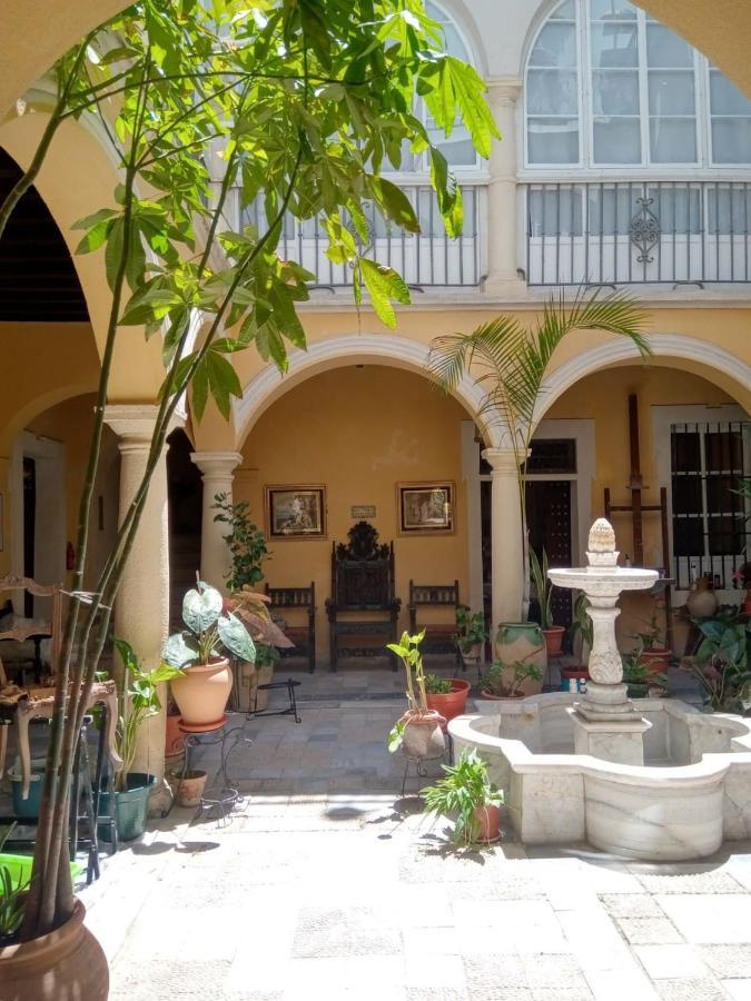 Casa Del Anticuario Apartments Cadiz Exterior photo